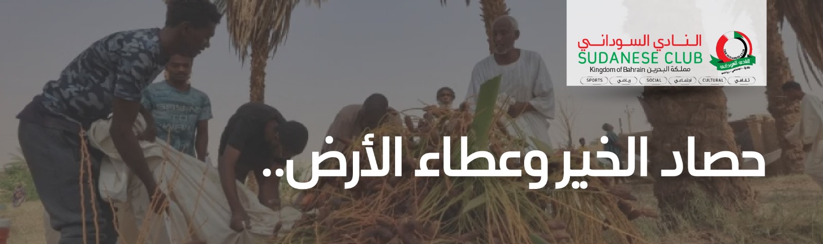 حصاد الخير